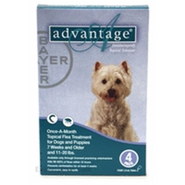 Bayer Advantage 4 Pack Dog 1122 Lbs Teal 4PK ADVANTAGE4TPKL